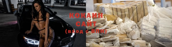 прущие крисы Алексеевка